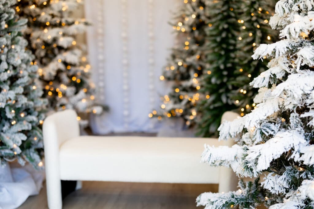 Colorado Springs natural light studio with white bench and Christmas trees ready for holiday mini sessions