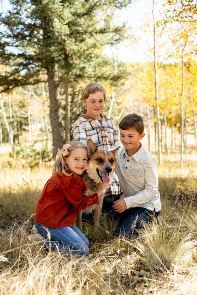 Children petting dog in a grove of aspen trees in autumn near Colorado Springs