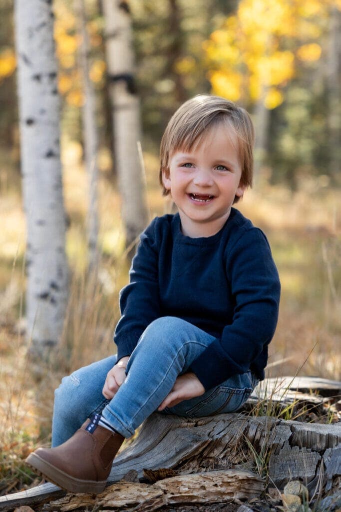 Toddler boy seated on tree stump during autumn photo session